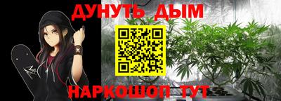 Альфа ПВП Обь