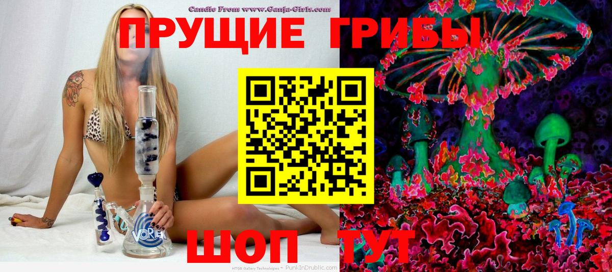 дарнет шоп  Галлюциногенные грибы мицелий  Галлюциногенные грибы прущие грибы  Вход с VPN  Белорецк 