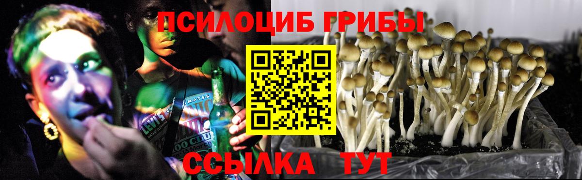 Галлюциногенные грибы GOLDEN TEACHER Белорецк